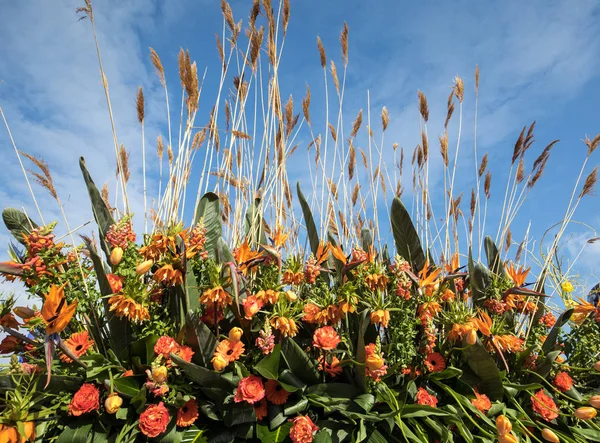 Floristiska Dekoration Med Tropiska Blommor Mot Blå Himmel — Stockfoto