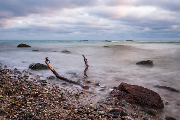 Treibholz Der Ostsee — Stockfoto