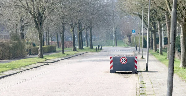 Large planter serving as a roadblock, enforcing the speedlimit of 30km/h, the Netherlands