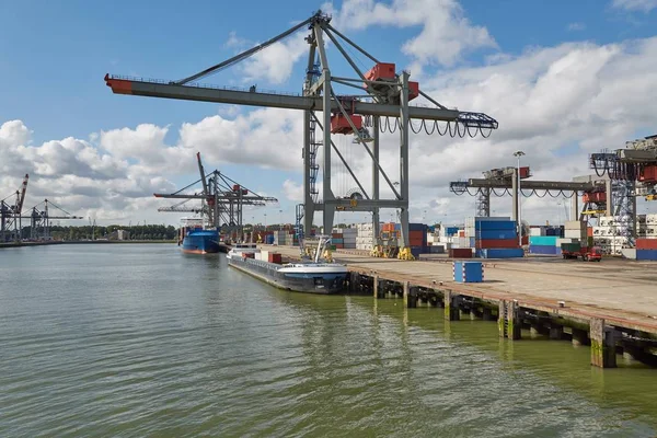 Containerschiff Und Kräne Dock Waalhaven Rotterdam — Stockfoto