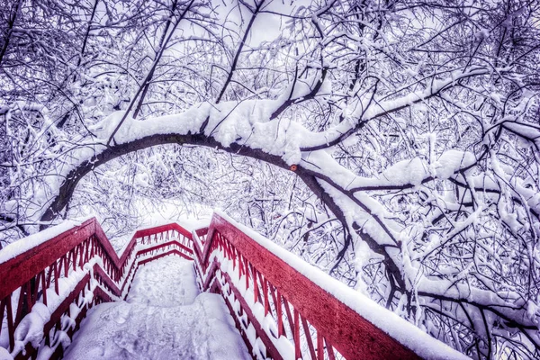 Japonský Červený Most Sněhem Bendigem Během Zimy — Stock fotografie