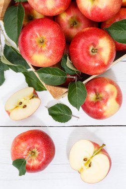 Apples apple fruits fruit from above portrait format autumn fall box eating clipart
