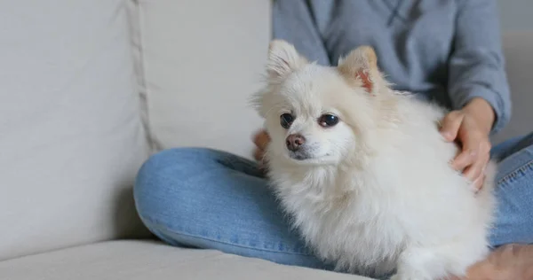 Femme Câlin Sur Son Chien Poméranien — Photo