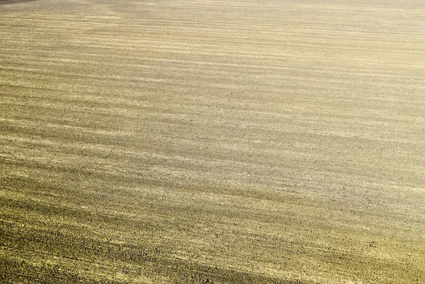 Plowed Field Spring Village Agricultural Land Kuban Preparation Fields Sowing — Stock Photo, Image