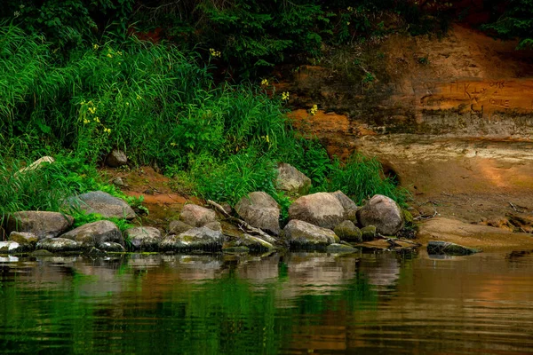 Uçurum Manzarası Gauja Nehri Yakınındaki Kayalar Arka Plandaki Orman Gauja — Stok fotoğraf