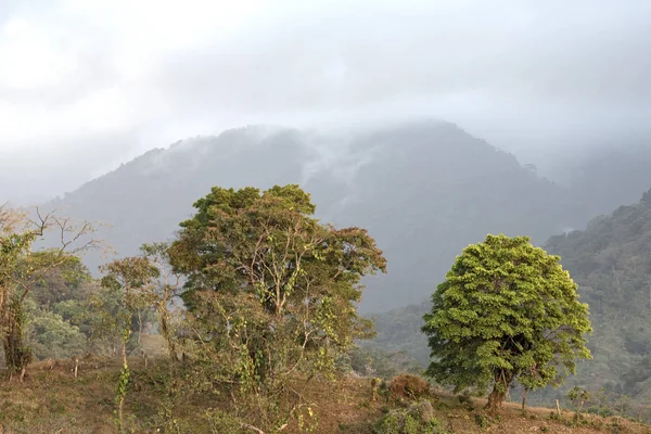 Nuvens Sobre Floresta Tropical Portobelo Panamá — Fotografia de Stock
