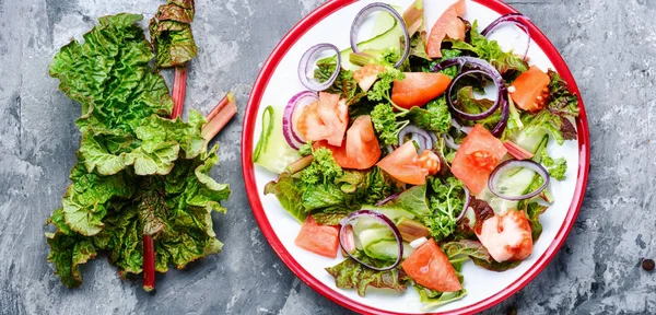 Čerstvý Salátový Talíř Mixem Salátových Reveňovým Salátem Vegetariánské Jarní Salát — Stock fotografie