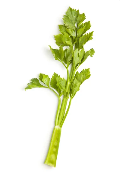 白色背景的新鲜芹菜茎束 — 图库照片