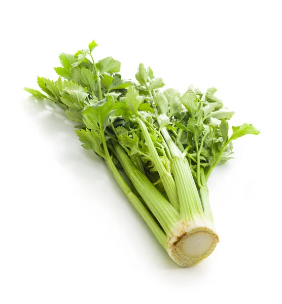 Bunch Fresh Celery Stalk Isolated White Background — Stock Photo, Image