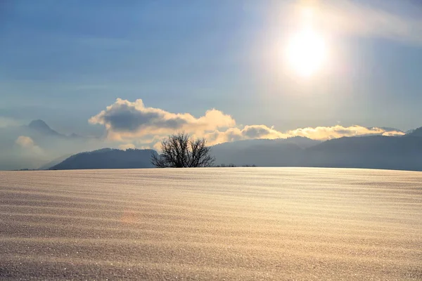 Sonthofen Známý Svou Krásnou Krajinou Zimní Krajiny — Stock fotografie