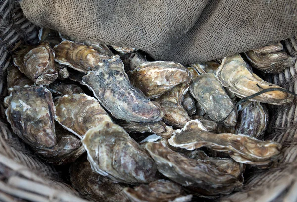 Frische Rohe Austern Auf Dem Straßenmarkt Cancale Der Bretagne Frankreich — Stockfoto