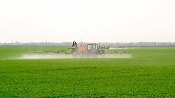 Tractor High Wheels Making Fertilizer Young Wheat Use Finely Dispersed — Stock Photo, Image