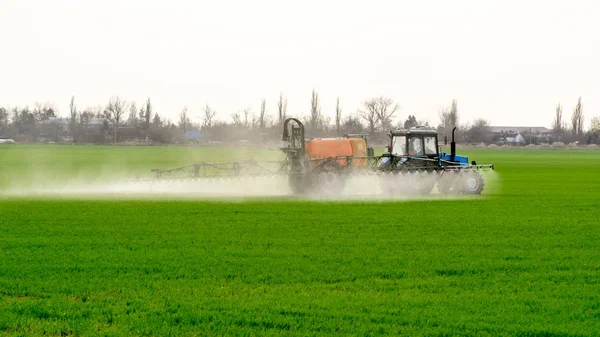 Traktor Mit Hohen Rädern Macht Dünger Auf Jungen Weizen Die — Stockfoto