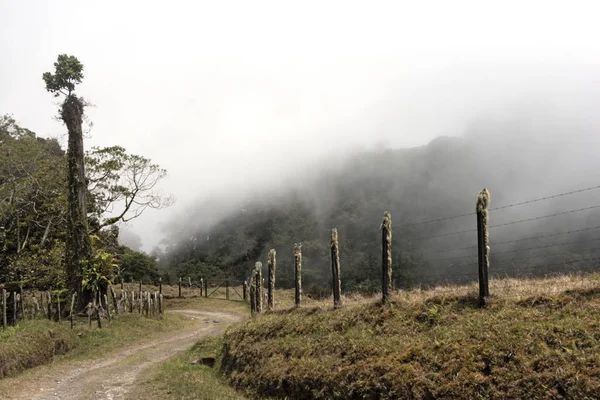 Floresta Tropical Nebulosa Parque Nacional Panamá Volcan Baru — Fotografia de Stock