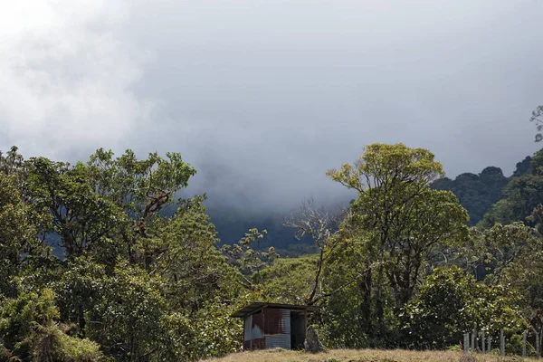 Floresta Tropical Nebulosa Parque Nacional Panamá Volcan Baru — Fotografia de Stock