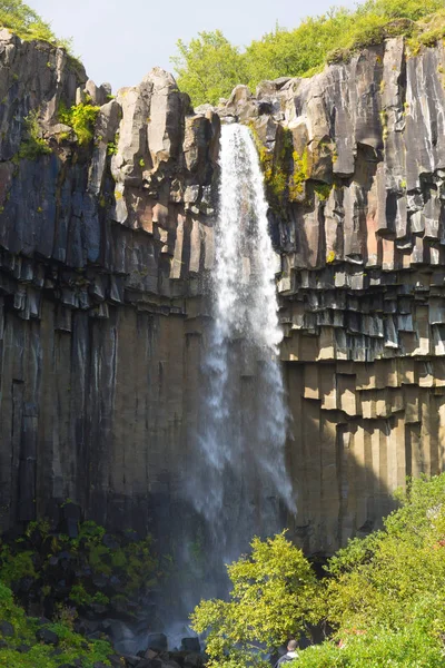 Svartifoss Cae Vista Temporada Verano Islandia Paisaje Islandés — Foto de Stock