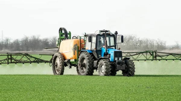 Traktor Vysoká Kola Dělá Hnojivo Mladé Pšenice Používání Chemických Látek — Stock fotografie