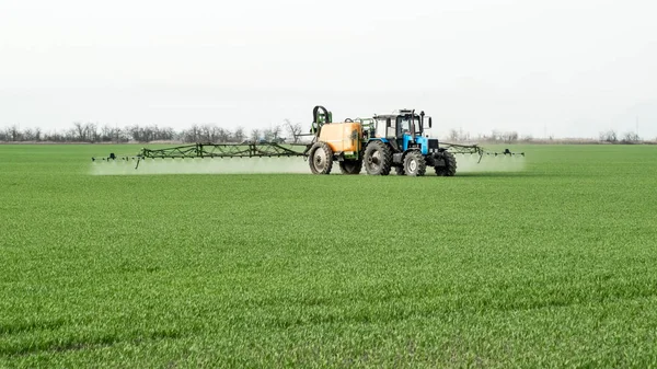 Traktor Vysoká Kola Dělá Hnojivo Mladé Pšenice Používání Chemických Látek — Stock fotografie