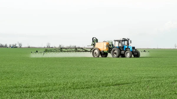 Traktor Mit Hohen Rädern Macht Dünger Auf Jungen Weizen Die — Stockfoto