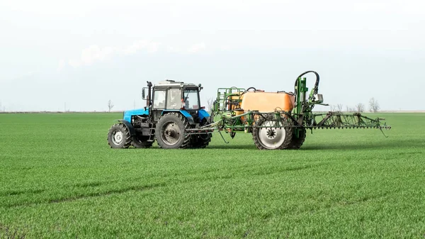 Traktor Mit Hohen Rädern Macht Dünger Auf Jungen Weizen Die — Stockfoto