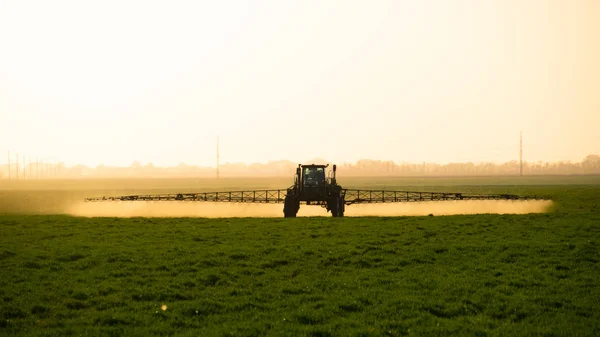 Tractor Met Hoge Wielen Maakt Mest Jonge Tarwe Het Gebruik — Stockfoto