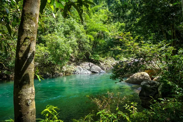 Fluss Dschungel Regenwald Khao Sok Nationalpark Thailand — Stockfoto