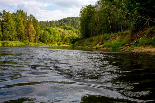 Paysage Fluvial Forêt Verte Ciel Bleu Gauja Est Long Fleuve — Photo