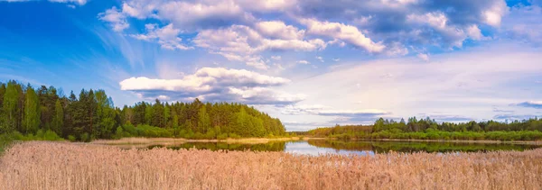 Erdei Felett Megtekinthető Naplementére Blue Sky Clouds Gyönyörű Táj Oroszország — Stock Fotó