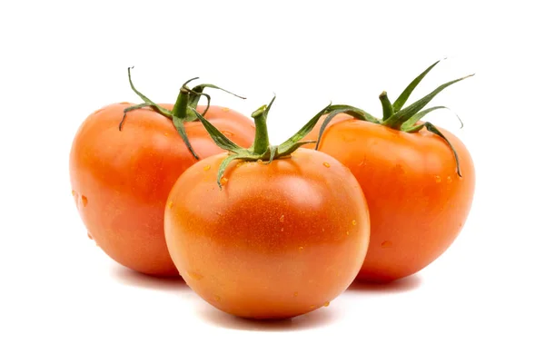 Tomaten Nahaufnahme Auf Weißem Hintergrund Selektiver Fokus Und Pflanzenfragmente — Stockfoto