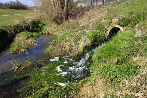 Formación Algas Curso Una Planta Tratamiento Aguas Residuales — Foto de Stock