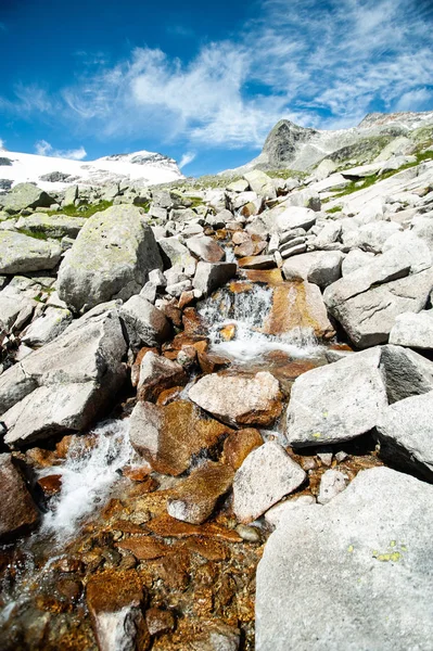 Paisaje Alps Torrente Salvaje Frente Las Montañas Cielo Azul — Foto de Stock