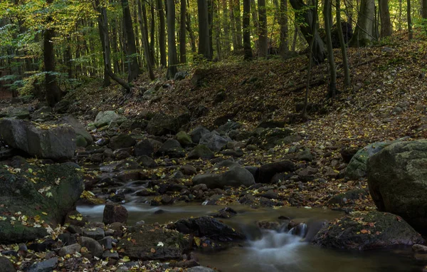 Восени Річці Ільзефель Германській Області Гарц — стокове фото