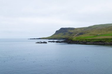 Borgarfjordur fjord view, east Iceland. Icelandic landscape clipart