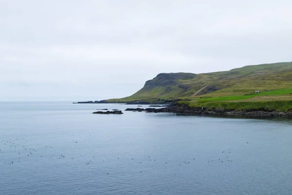 Borgarfjordur Uitzicht Fjord Oost Ijsland Ijslands Landschap — Stockfoto