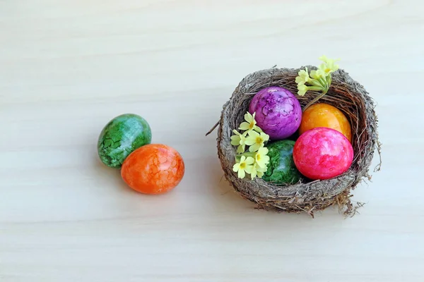 一个复活节鸟巢 在木制背景上有五颜六色的复活节彩蛋和报春花 — 图库照片