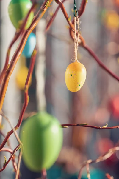 Pendurando Ovos Páscoa Árvore Com Bokeh Foco Macio Tonificada Cor — Fotografia de Stock