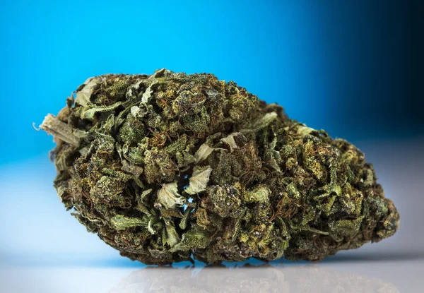 Cbd Concept Marijuana Medica Cannabis Sfondo Blu — Foto Stock