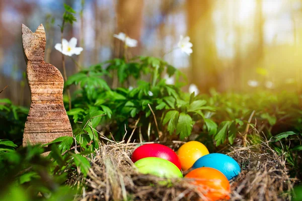 Coloridos Huevos Pascua Bosque Con Rayos Sol —  Fotos de Stock