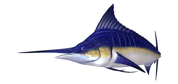 Rendering Marlin Fish Isolated White Background — Stock Photo, Image