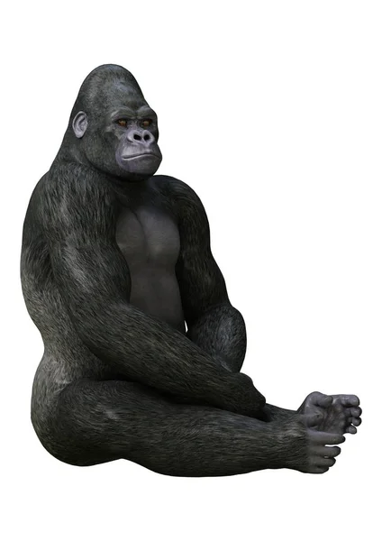 Rendering Gorilla Herbivorous Ape Isolated White Background — Stock Photo, Image