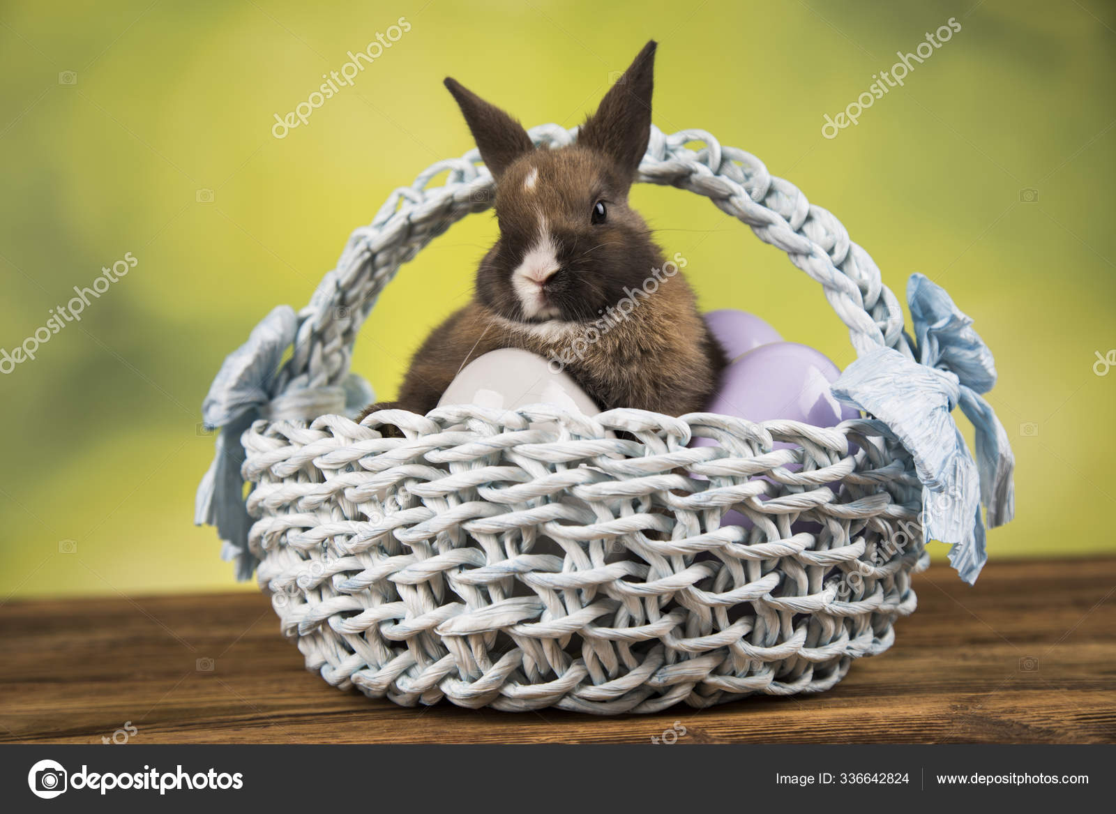 Little Bunny Basket Background Stock Photo by ©PantherMediaSeller 336642824