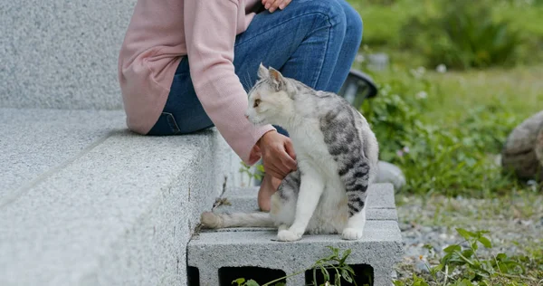 Женщина Коснулась Кошки Саду — стоковое фото