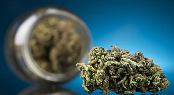 Cbd Concept Medical Marijuana Cannabis Blue Background — Stock Photo, Image