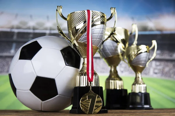 Trofeo Ganador Equipamiento Deportivo Pelotas —  Fotos de Stock