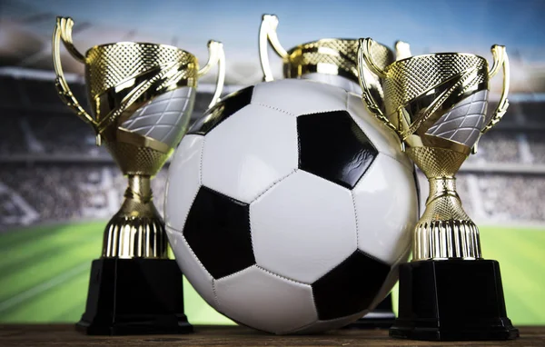 Trofeo Ganador Equipamiento Deportivo Pelotas —  Fotos de Stock