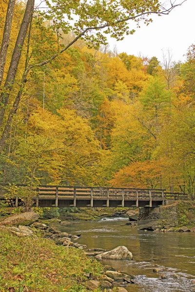 ノースカロライナ州のグレートスモーキー山脈の深いクリークの秋林における農村橋 — ストック写真