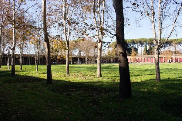 Pompeii Een Oude Stad Begraven Christus Van Uitbarsting Van Vesuvius — Stockfoto