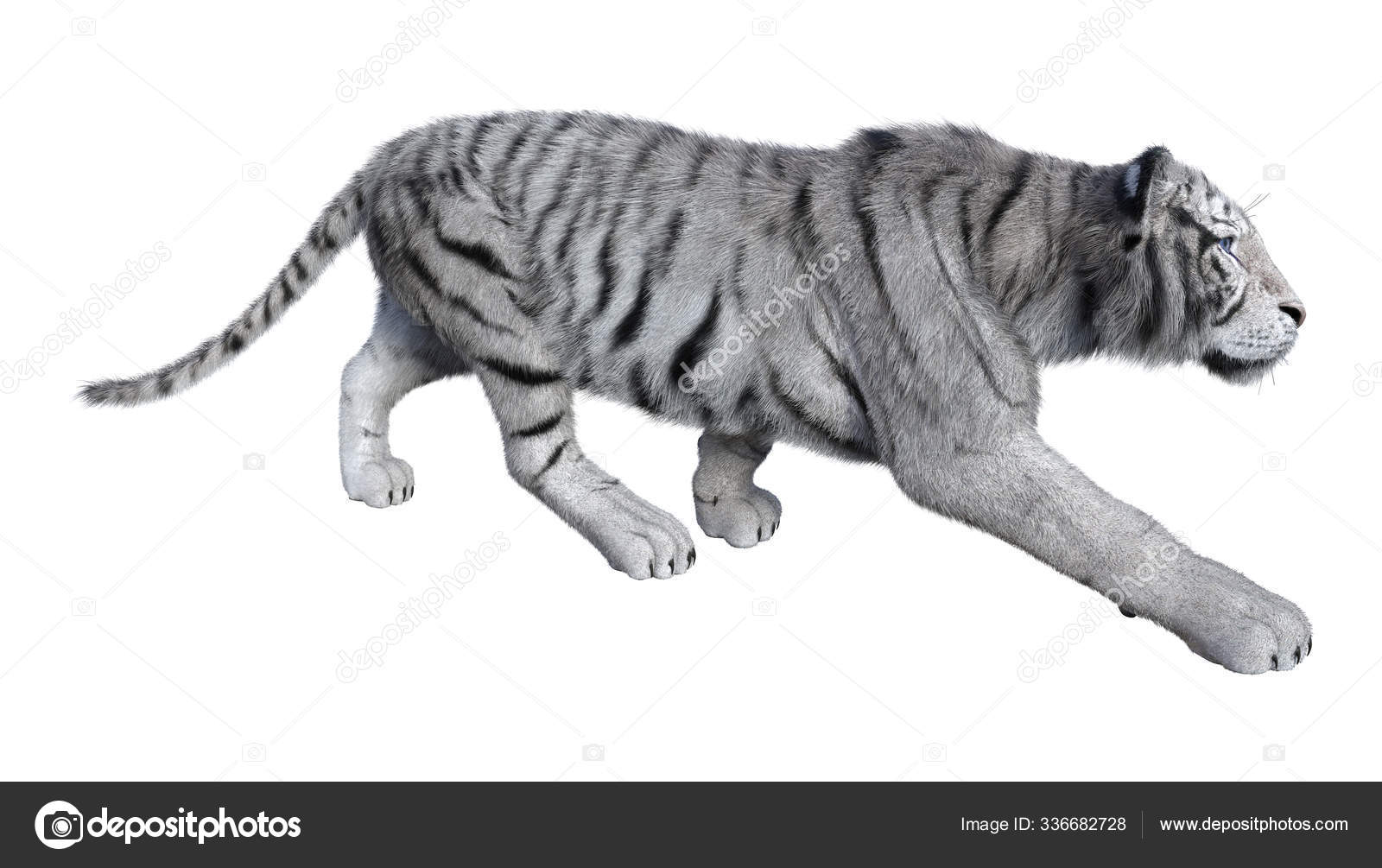 Foto de tigre branco renderizada em 3d