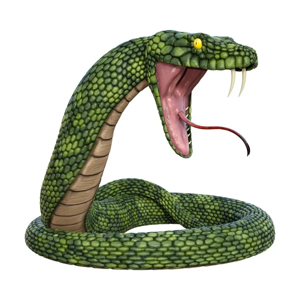 Representación Una Serpiente Fantasía Gigante Verde Aislada Sobre Fondo Blanco —  Fotos de Stock