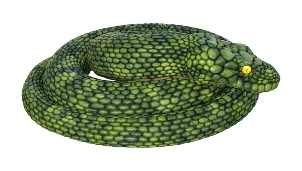 Rendering Green Giant Fantasy Snake Isolated White Background — Stock Photo, Image